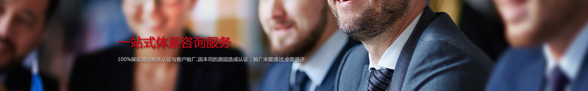 体系咨询